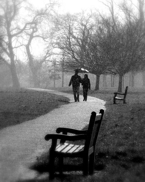 Walking in the rain: Romantic couple walking through a park in the rain