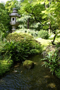 Japanese garden: Japanese garden