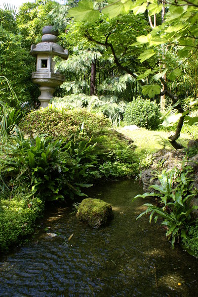 Japanese garden: Japanese garden