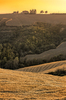 Tuscany Farm on Top of Hill: Farm on Top of Hill at Sunset, Tuscany, Italy