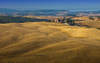 Tuscany Farm in Fields: Farm and Fields on rolling Hills, Tuscany