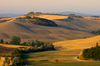 Tuscany View: View over hilly Landscape in Tuscany