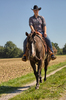 Equitation - Western Riding: Equitation - Western Riding. Young Woman riding a Quarter Horse outdoors in a Field.