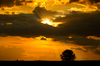 Sunset with heavy Clouds: Single Tree in Landscape, Sunset, heavy Clouds