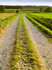 Simple Field Path: Simple Field Path - agricultural Landscape in Bavaria, Germany