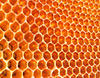Honey Comb: No description