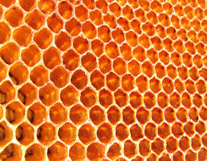 Honey Comb: No description
