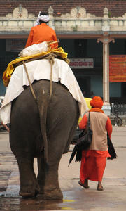 The Temple Elephant: The Temple Elephant with mahoot and consort
