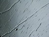 Raindrops 1: Raindrops on window shield