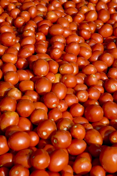 Tomates 1: 