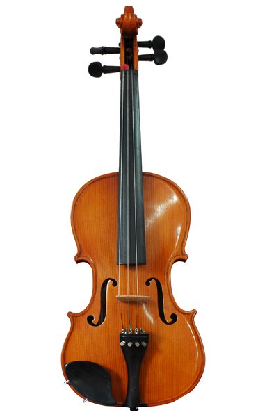 Violin: violin