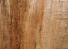 wood texture: none