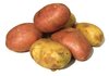 batatas 1: 