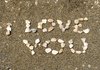pebbles love: none