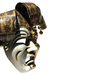 venetian mask: none