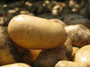 patatas de granja: 