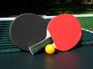 ping pong paddle: 
