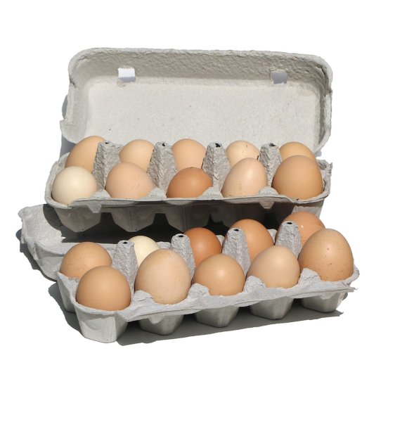 more eggs: none