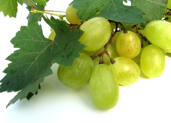 grapes 1: none