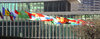 UN flags: Flags outside the United Nations building, NY 2006