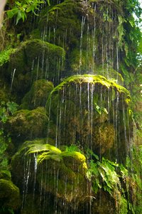 Grüne Wasserfall: 
