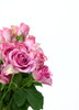 Rosas rosadas 2: 