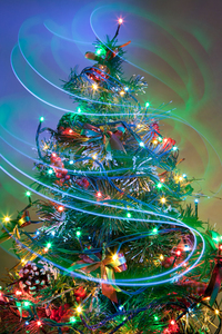 Christmas Tree 5: Photo of christmas tree