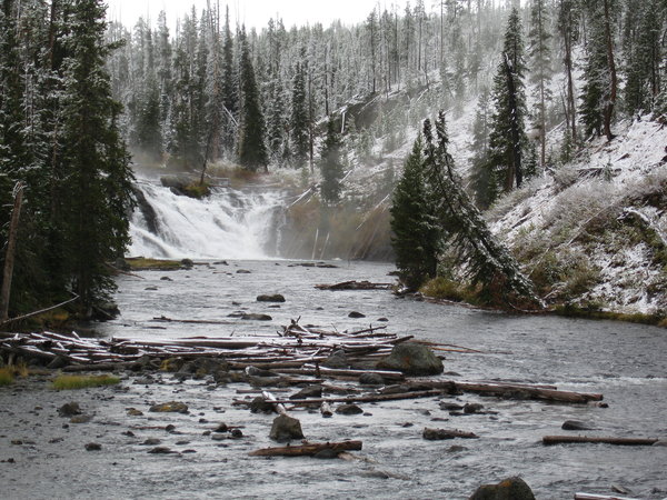 Rio do inverno em Yellowstone Pa: 