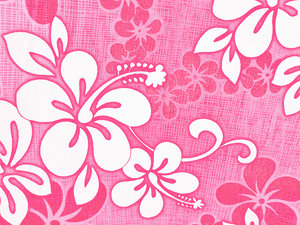 hibiscus rosa de tela: 