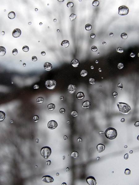 Water drops: Water drops on window