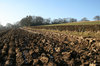 Ploughed field in winter: A ploughed field in West Sussex, England, on a frosty winter day.
