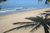 tropikalna plaża 3: 