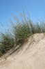 Sand dunes: 