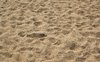 Beach sand with footprints: Coarse sand with lots of footprints on a beach in Kent, England.