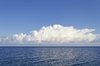 Weiße Wolke, blaues Meer: 