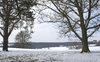 Winter landscape: Fields and woodland in West Sussex, England, in winter.