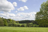Parkland in spring: Parkland in Oxfordshire, England in spring.