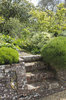 Old garden steps: Old brick steps in a garden in West Sussex, England.