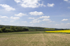 Arable landscape: Farmers' fields in Hampshire, England, in spring.