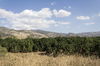 Israel landscape: Landscape of northern Israel, with the Golan Heights and Nimrud's Fortress in the background.