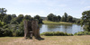Lake view: View of the lake at Sherborne Castle, Dorset, England, with a hollow tree stump as a lookout. Photography in this area was freely permitted.