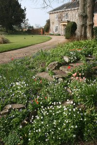 Rockery garden: A rockery garden in England in spring.