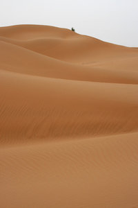 Tengger desert: Sand dunes of the Tengger desert, China.