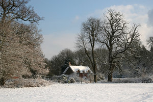 Cabaña del invierno: 