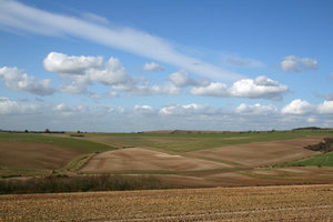 South Downs 2: 