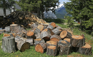 Logs: Logs for firewood in the Alps.