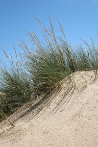 Sand dunes: 