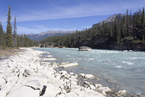 River edge: Rocky bank of the Athabasca River, Canada.
