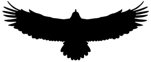 Eagle silhouette: no description