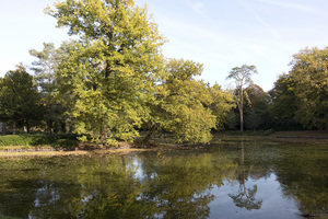 lago parkland en otoño: 